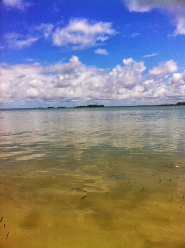 Bait Shop «Angler 360 Bait Tackle and Apparel Co. Belleair Causeway», reviews and photos, 3900 W Bay Dr, Belleair Bluffs, FL 33770, USA