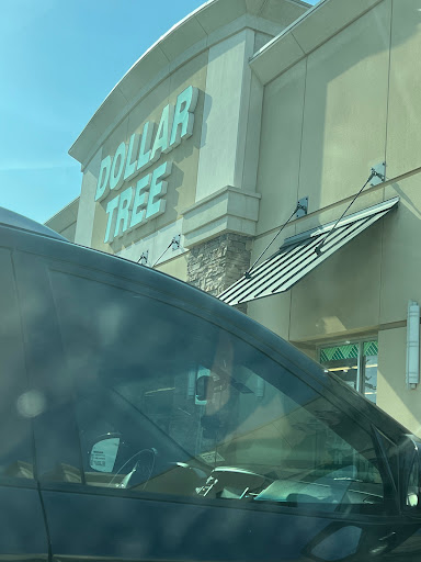 Dollar Store «Dollar Tree», reviews and photos, 410 US-175 #105, Seagoville, TX 75159, USA