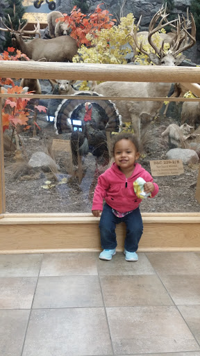 Craft Store «Hobby Lobby», reviews and photos, 2115 W Southlake Blvd, Southlake, TX 76092, USA