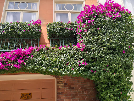 Historical Landmark «Painted Ladies», reviews and photos, Steiner St, San Francisco, CA 94117, USA