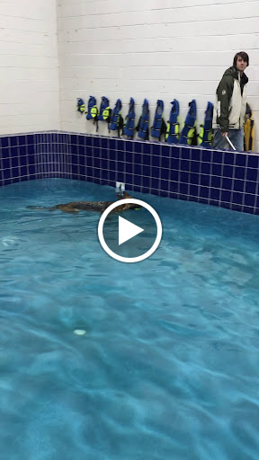 Pet Supply Store «Pet Depot Inc», reviews and photos, 2151 Greenspring Dr, Lutherville-Timonium, MD 21093, USA