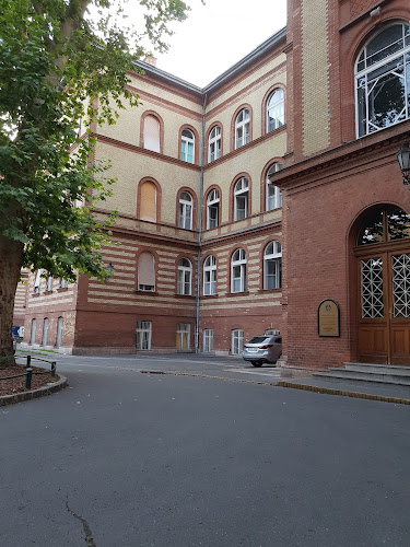 Semmelweis Egyetem Szülészeti és Nőgyógyászati Klinika (Baross utcai részleg) - Egyetem
