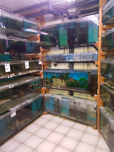 Schaffer Aquaristik unter Pegnitz, 