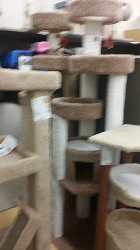 Pet Supply Store «Petco Animal Supplies», reviews and photos, 5994 Montana Ave, El Paso, TX 79925, USA