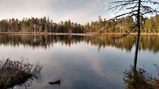 Real Estate Agency «First Choice Real Estate», reviews and photos, 46 North St, Houlton, ME 04730, USA