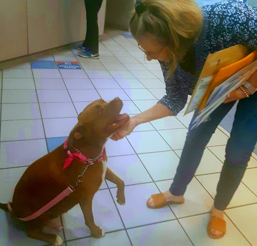 Pet Supply Store «Petco Animal Supplies», reviews and photos, 3452 W Chandler Blvd, Chandler, AZ 85226, USA