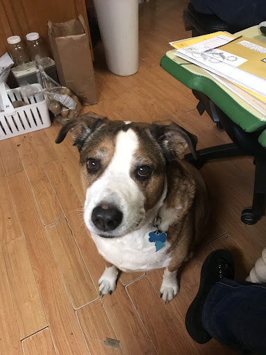 Kilmarnock Animal Hospital image