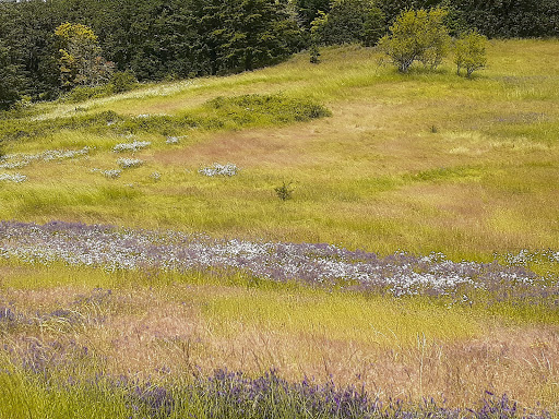 Resort «Oregon Garden», reviews and photos, 879 W Main St, Silverton, OR 97381, USA