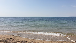 Toulumba beach'in fotoğrafı biraz temiz temizlik seviyesi ile