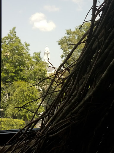 Art Museum «Gibbes Museum of Art», reviews and photos, 135 Meeting St, Charleston, SC 29401, USA