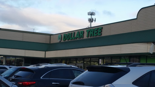 Dollar Store «Dollar Tree», reviews and photos, 646 Stewart Ave, Garden City, NY 11530, USA