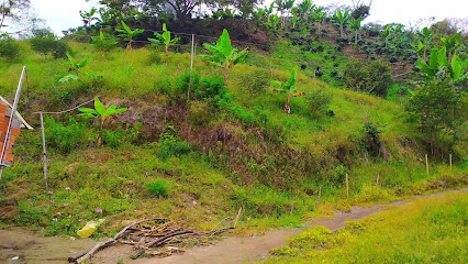 Vereda el guali - Villa Hermosa - Palo Cabildo, Herveo, Tolima, Colombia