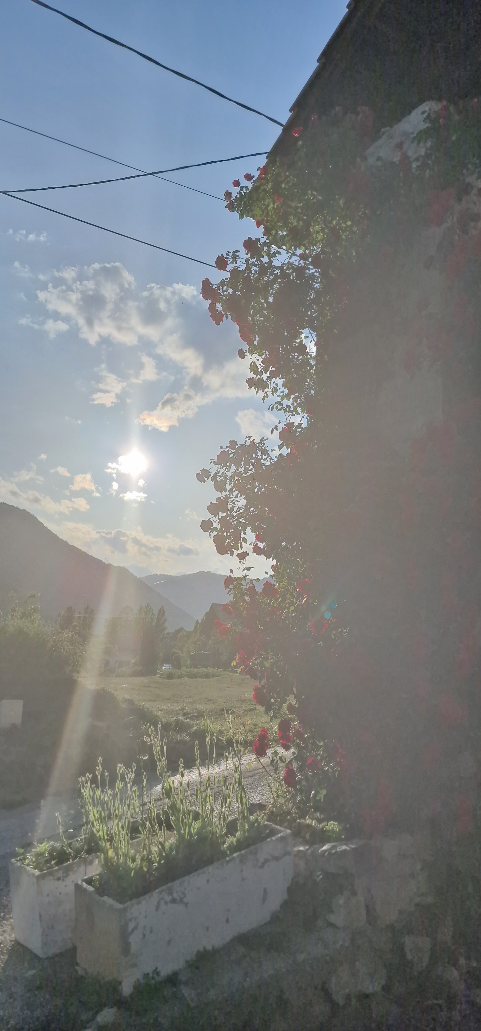 Photo n° 25 de l'avis de Luc. fait le 26/06/2023 à 18:49