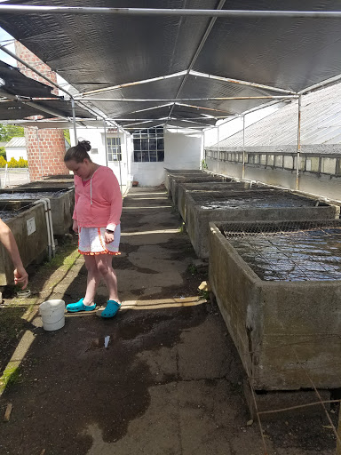 Tropical Fish Store «William Tricker Inc», reviews and photos, 7125 Tanglewood Dr, Cleveland, OH 44131, USA