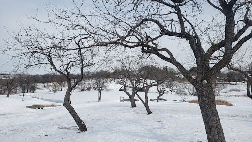 Park «Victoria Park», reviews and photos, 3051 W Northgate Dr, Irving, TX 75062, USA