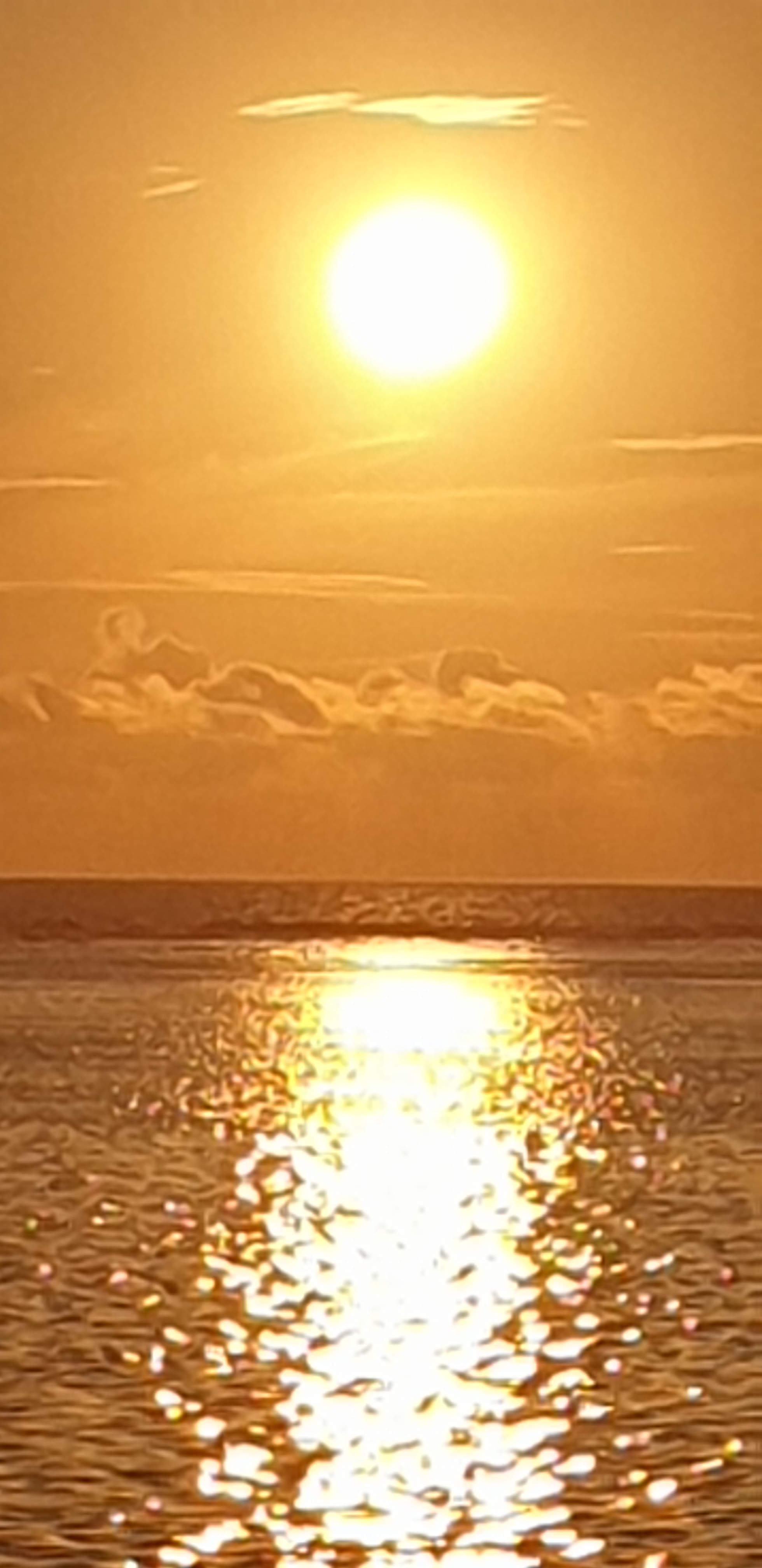 Photo n° 2 de l'avis de Marie-France.l fait le 12/11/2023 à 19:35