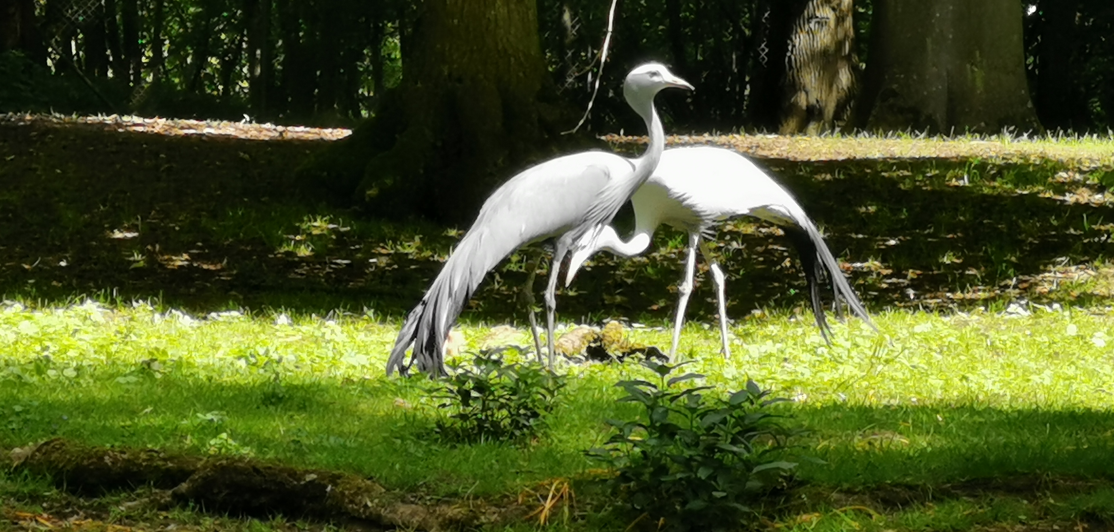 Photo n° 1 de l'avis de Chris.. fait le 01/06/2019 à 05:44