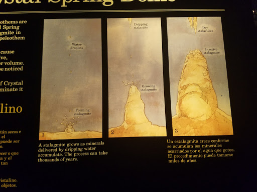 Tourist Information Center «Carlsbad Caverns National Park Headquarters», reviews and photos