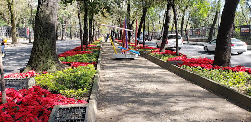 Museo Nacional de Antropología