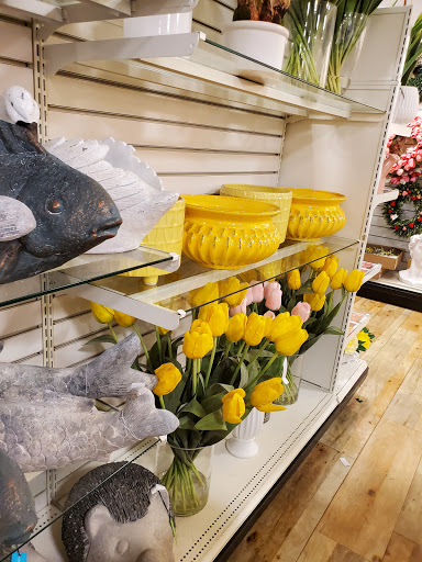 Department Store «HomeGoods», reviews and photos, 17641 Dale Mabry Hwy, Lutz, FL 33548, USA