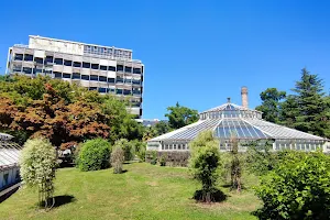 Botanical Gardens of Strasbourg University image