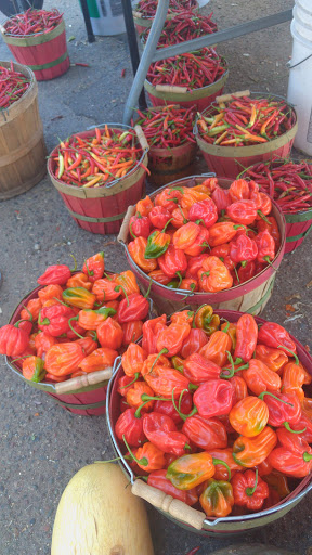 Shopping Mall «Uni-Dale Mall», reviews and photos, 608 University Ave W, St Paul, MN 55103, USA