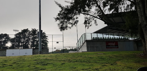 Harbour Softball Club