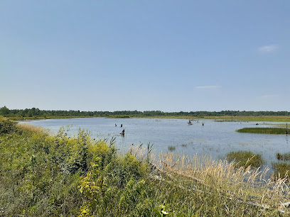 Tuttle Marsh Wildlife Area