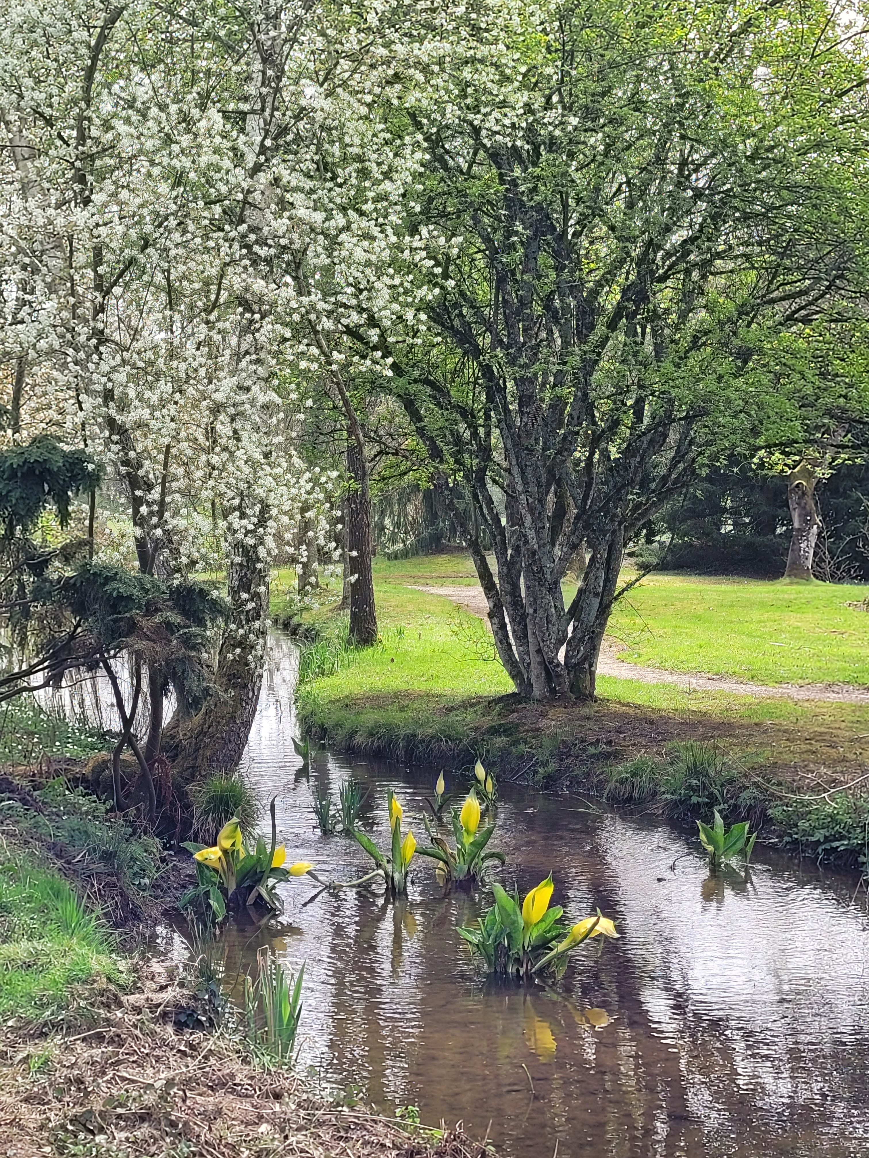 Photo n° 5 de l'avis de P. fait le 16/04/2022 à 17:27