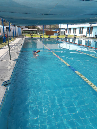 Piscina Del Club Swimming Gold