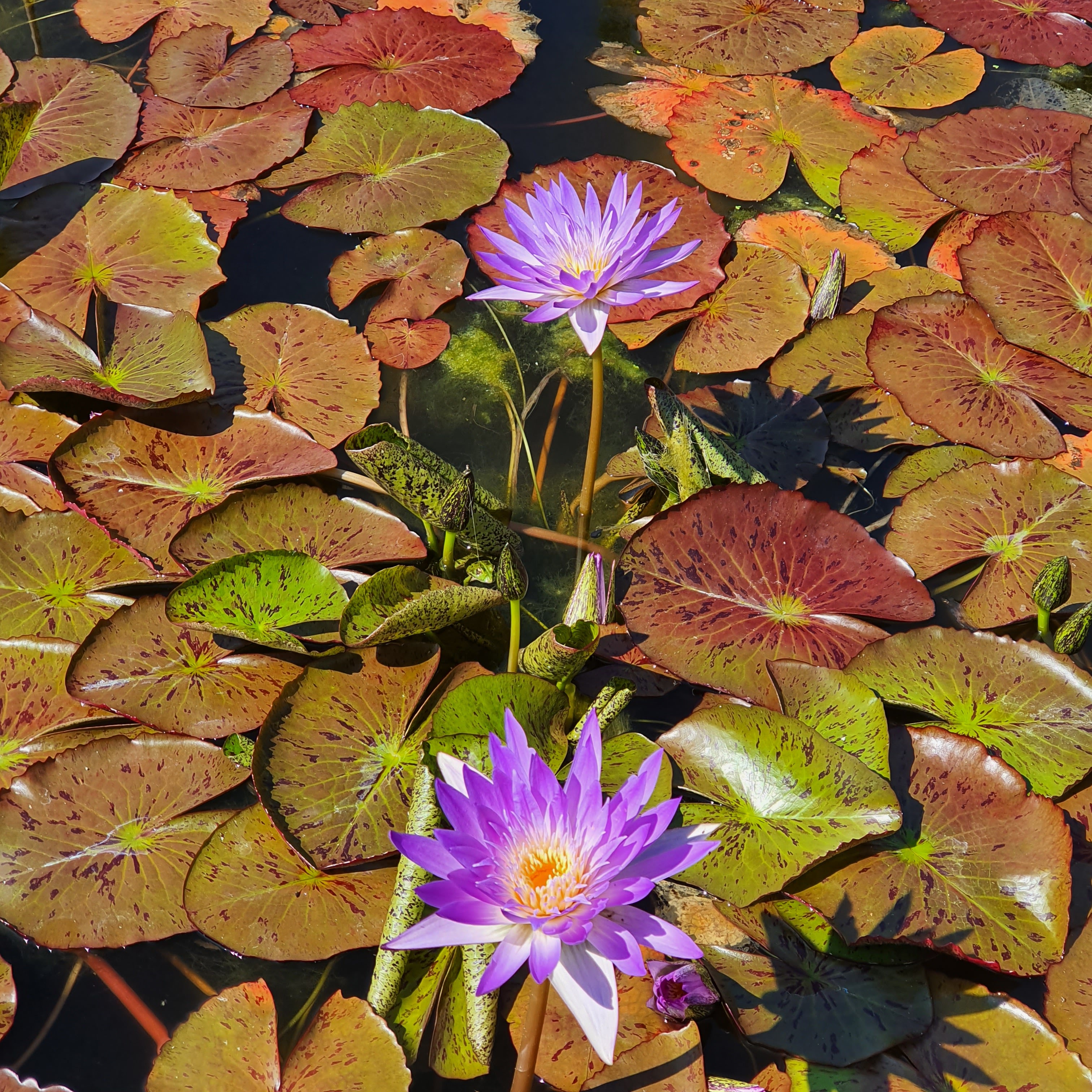 Photo n° 5 de l'avis de Guillaume. fait le 11/07/2021 à 10:11