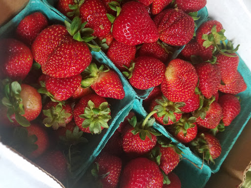 Natural Foods Store «The Farm Store», reviews and photos, 168 S Vermont 108, Jeffersonville, VT 05464, USA