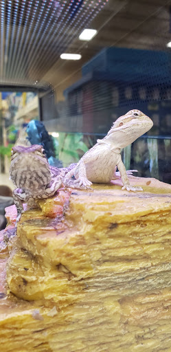 Pet Supply Store «PetSmart», reviews and photos, 355 Howe Ave, Cuyahoga Falls, OH 44221, USA