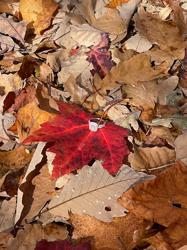 Southeastern Jewelers Inc, 5299 Valleydale Rd #111, Birmingham, AL 35242, USA, 