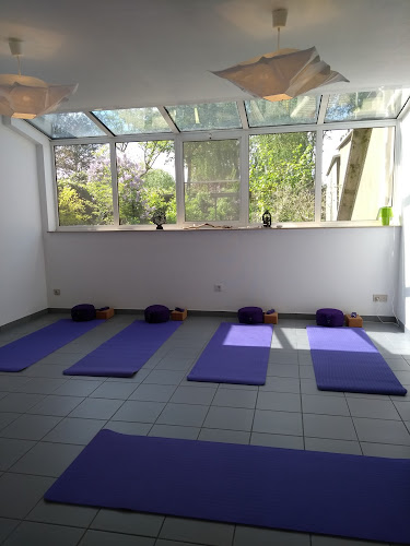 Beoordelingen van VanZelf Leven, degoedinjevelschool in Vilvoorde - Yoga studio