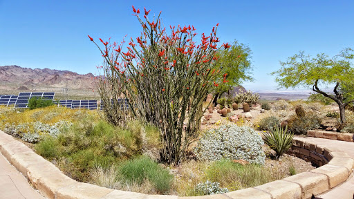 Visitor Center «Lake Mead Visitor Center», reviews and photos
