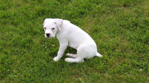 1470 Amsterdam Rd, Belgrade, MT 59714, USA