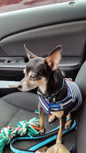 Pet Supply Store «PetSmart», reviews and photos, 13927 New Halls Ferry Road, Florissant, MO 63033, USA