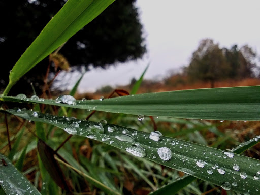 Private Golf Course «Chester Valley Golf Course», reviews and photos, 430 W Swedesford Rd, Malvern, PA 19355, USA