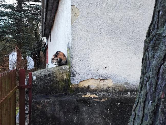 Gánt, Kőhányás 10, 8082