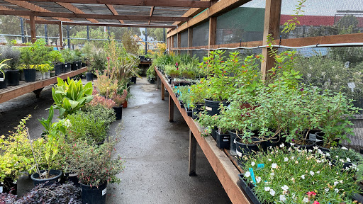 Heron's Head Nursery