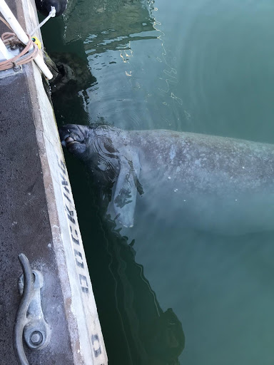 Health Club «9Round Va Beach/Great Neck», reviews and photos, 2301 Urchin Rd, Virginia Beach, VA 23451, USA