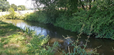 La Dheune au petit Trézy et l'énigme de sa source précise à Saint-Jean-de-Trézy