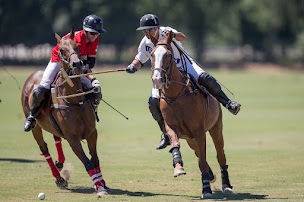 Photo n°7 de Polo Resort & Country Club à Gassin ()