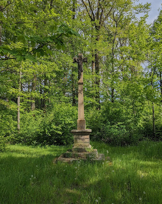 Arboretum de Charmois-l'Orgueuilleux à Charmois-l'Orgueilleux