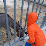 Photo n°4 de l'avis de guido.a fait le 11/11/2023 à 21:48 sur le  Agriturismo Masseria Chinunno à Altamura