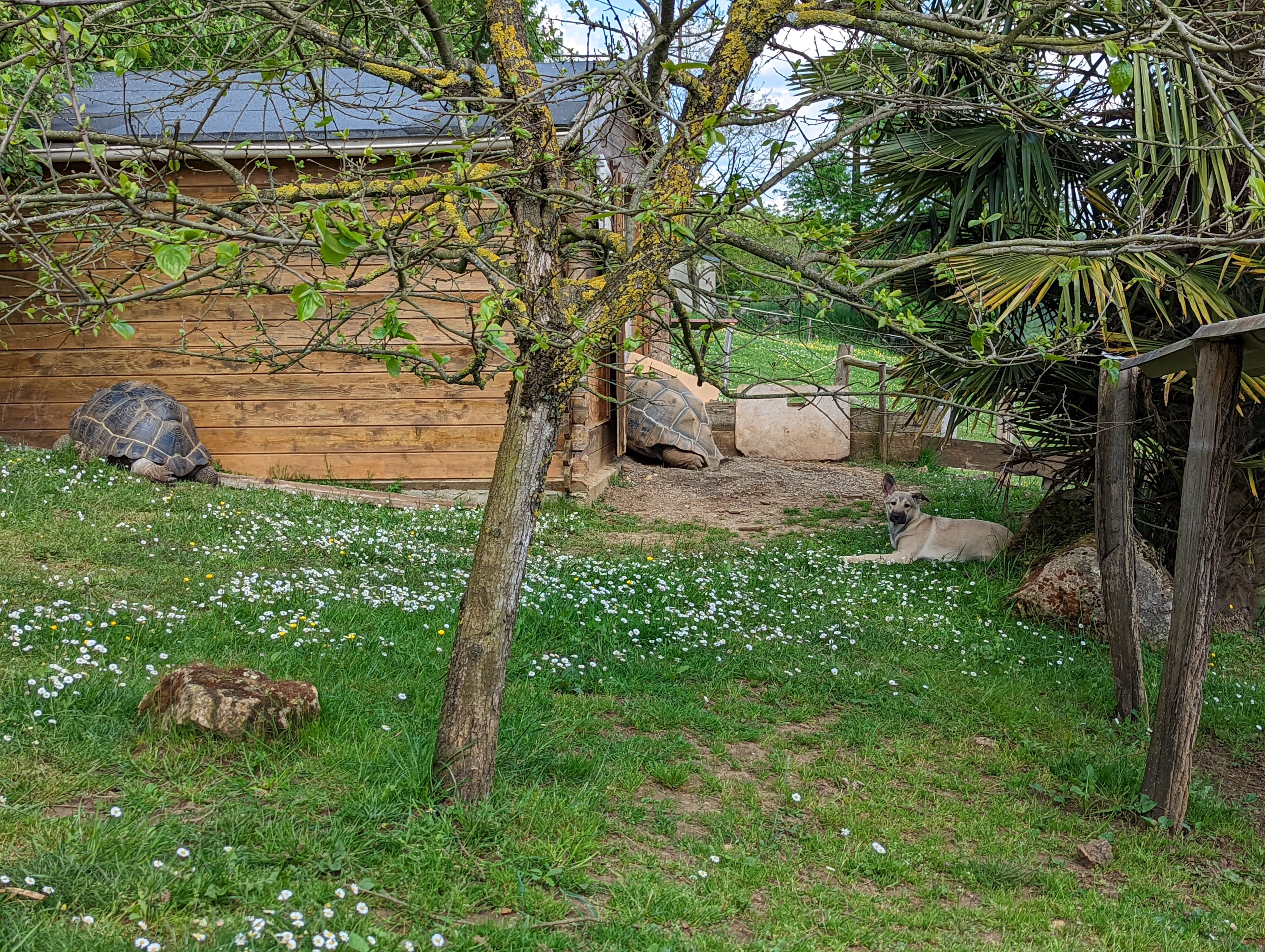 Photo n° 13 de l'avis de Mathieu.I fait le 07/05/2022 à 19:56