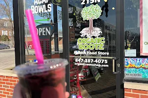Organic Rootz juice bar cafe image