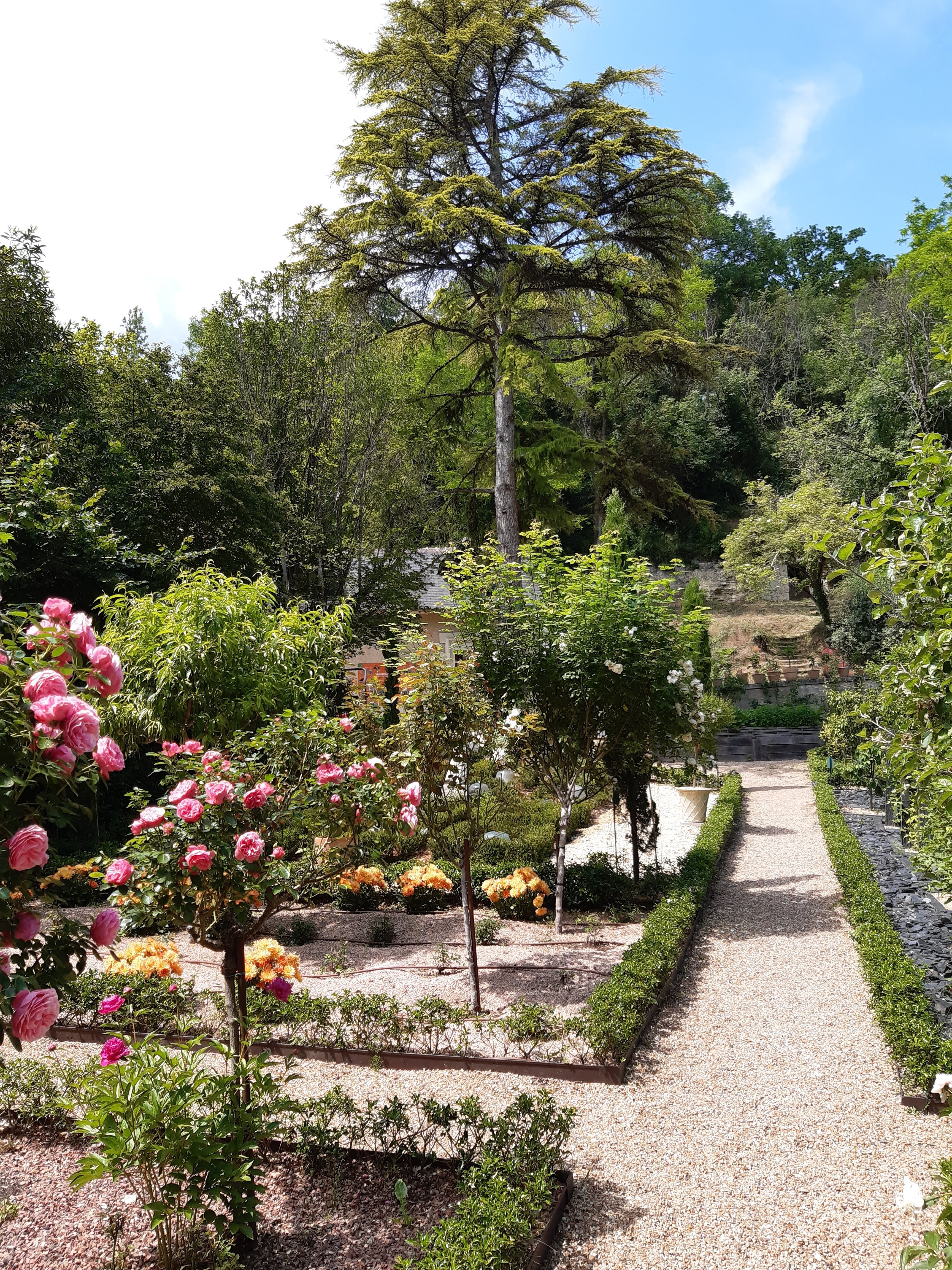 Photo n° 25 de l'avis de Patrice.a fait le 13/06/2021 à 16:03