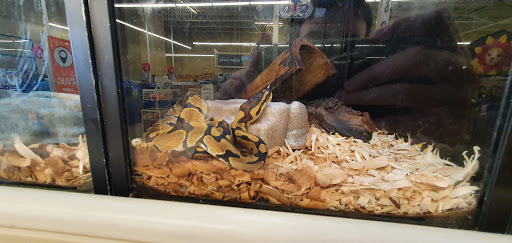 Pet Supply Store «PetSmart», reviews and photos, 742 S Meadow St, Ithaca, NY 14850, USA